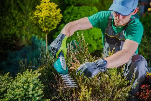 landscaping services Wingo